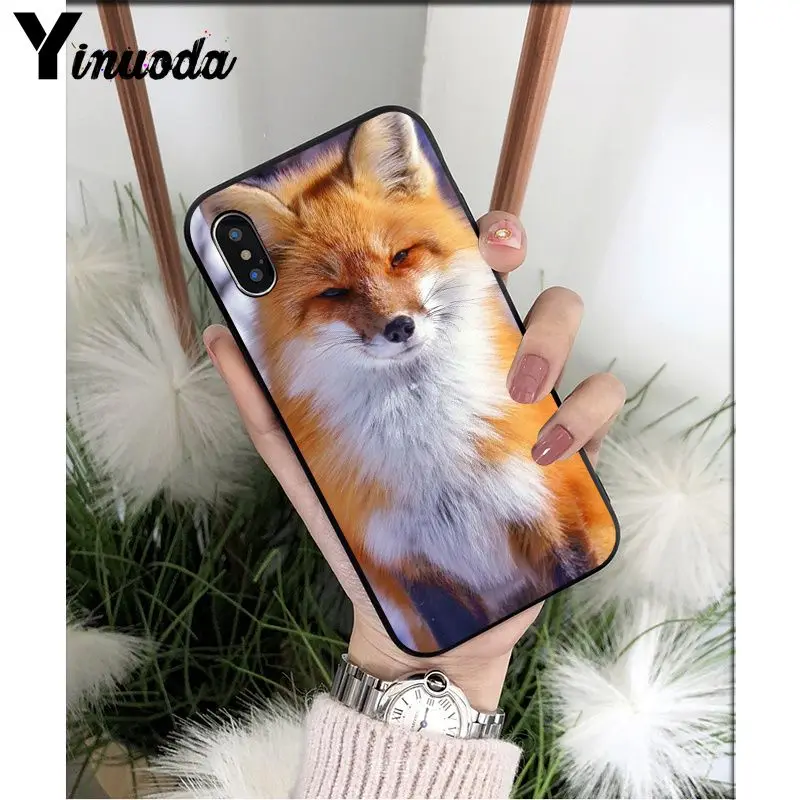 Yinuoda аниме лиса Забавный foxs милый мягкий Силиконовый ТПУ чехол для телефона iPhone 5