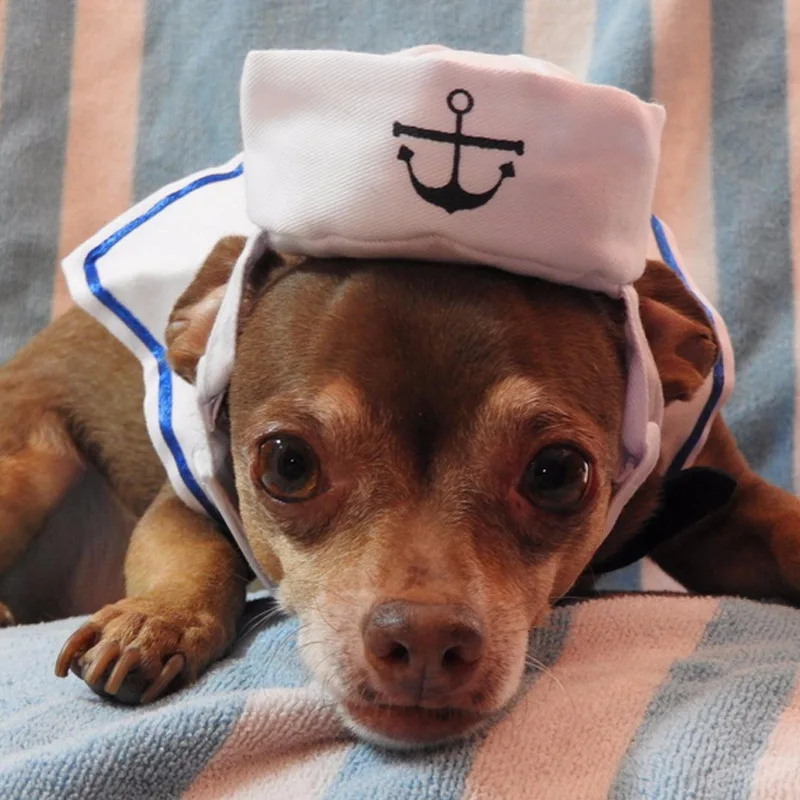 Funny Pet Cat Costumes Cat Dog Rabbit Apparel Clothes For Halloween Cosplay Navy Sailor Costumes Jacket Cloak Dog Accessories3