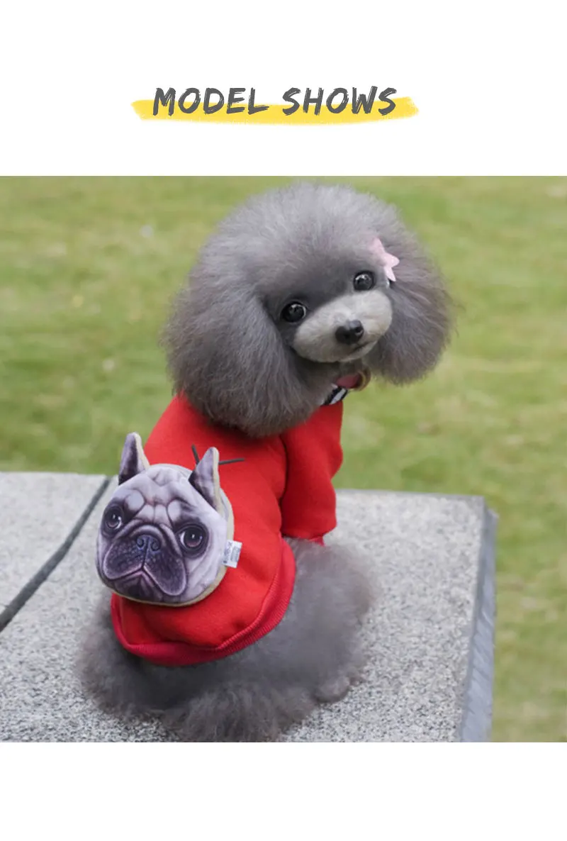 dog coat pug