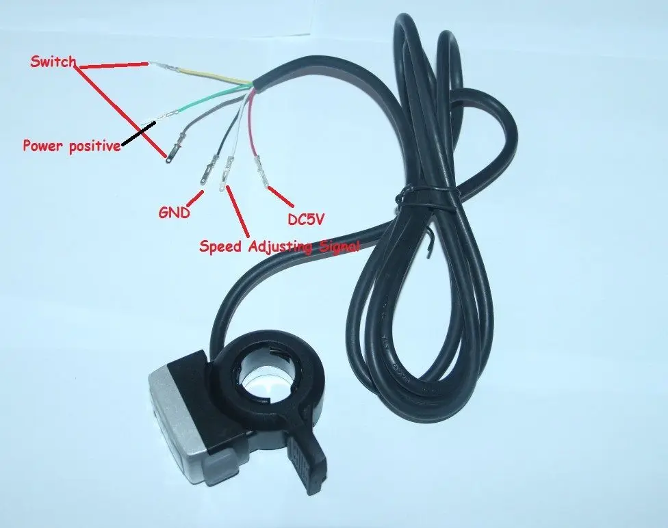 36v 03