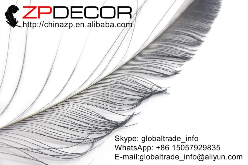 silver grey Peacock Swords Feather (4)