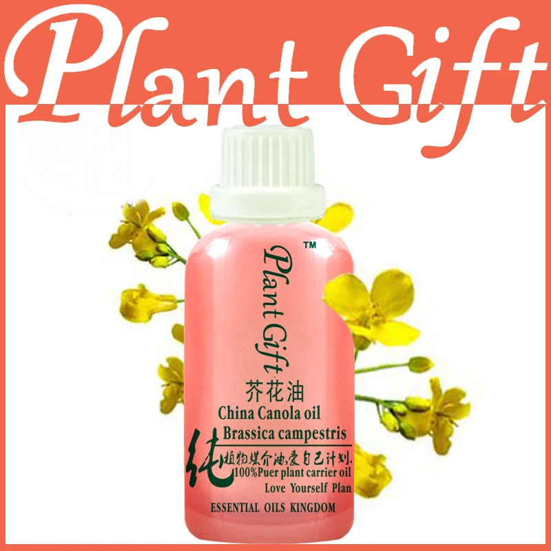 100 pure plant base oil canola oil 100ml Canola seed oil DIY Handmade