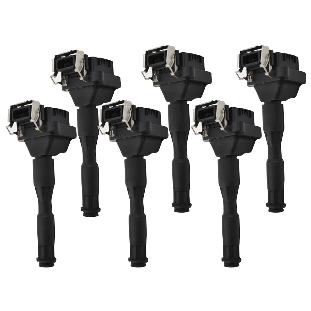 

6X IGNITION COIL 0221504029 / 0221504004 / 00110 / 00143 For BMW X5 Z8