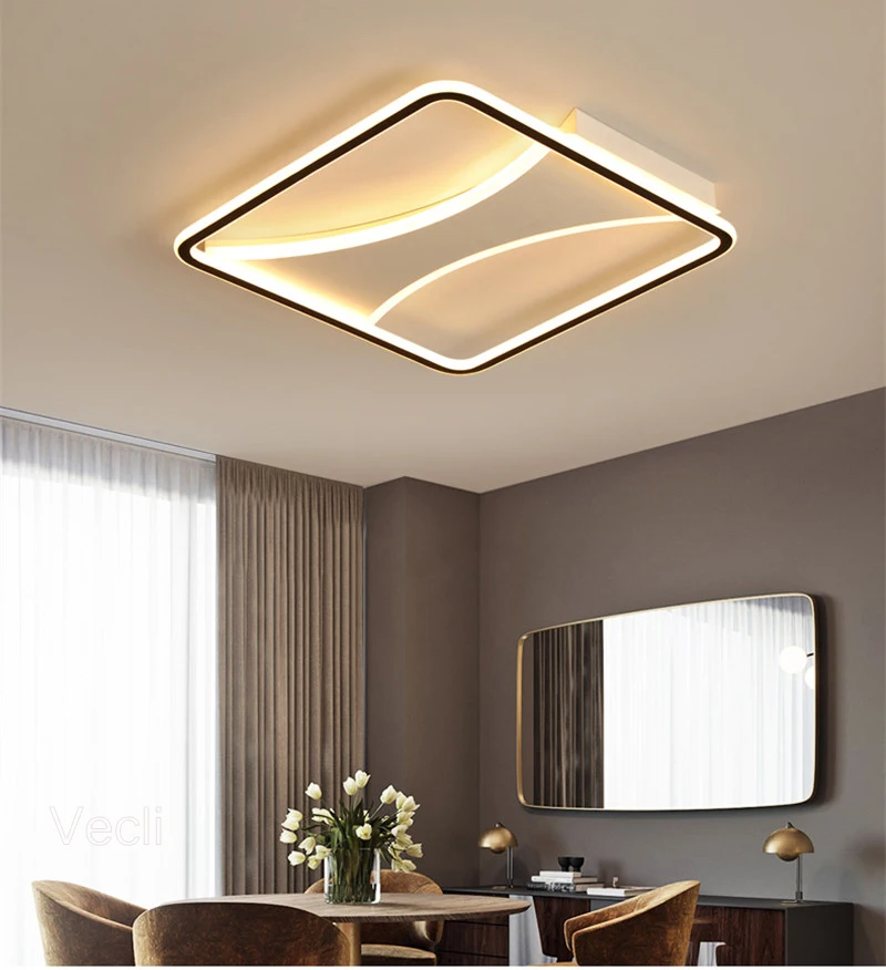 modern ceiling light (17)