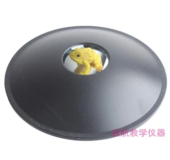 

Physics Mirage 3D Virtual Objects Imaging Concave Mirror Free Shipping