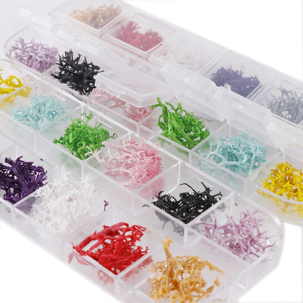 

1 Box 24Pcs Nail Coral Dried Flowers Nail Art Decoration DIY Tips Small Flowers Nails Stickers For Manicure Tools