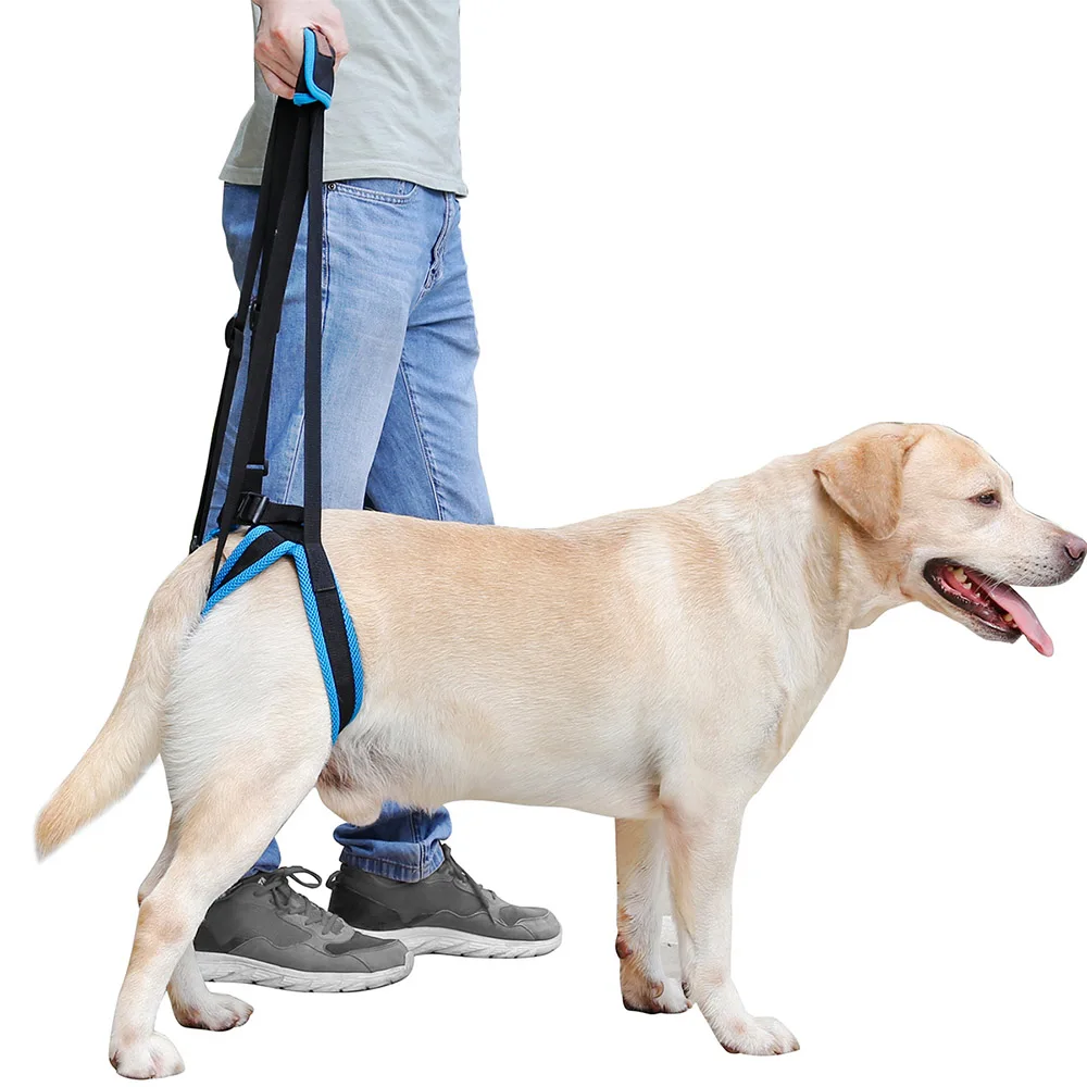 

Pet Dog Sling Lift Harness Dog Leg Brace Adjustable Straps Harness for the old and weak dogs Hot Sale