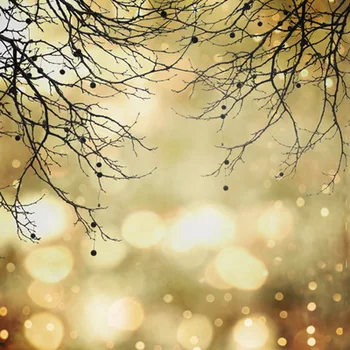 

Studio photography backdrop thin Art fabric newborn pet photography backdrops Bokeh background D-2444