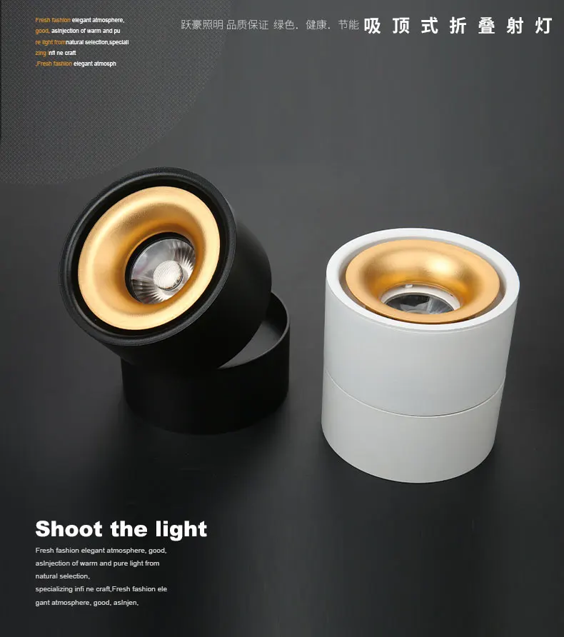 track light (2)