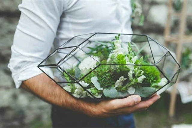 Handmade Glass Terrarium / Modern Planter for Indoor Gardening ... Handmade Glass Terrarium / Modern Planter for Indoor Gardening ...