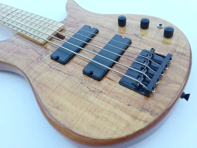Cheap high quality map with flame maple wood  Active 5 string bass guitar 