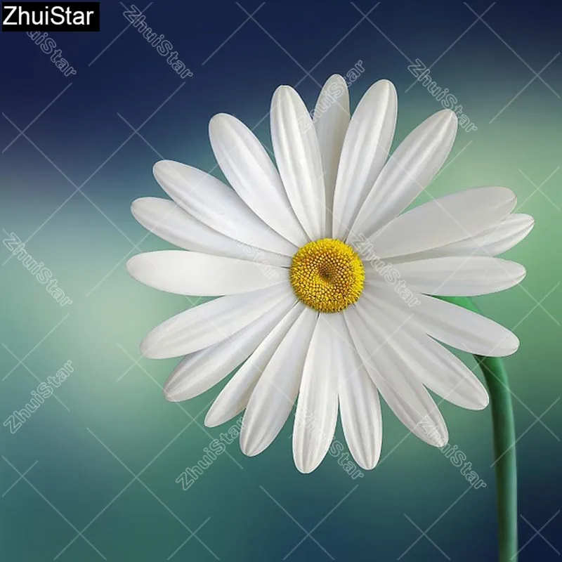 

Full Square 5D DIY Diamond Painting "White daisy" Embroidery Cross Stitch Mosaic Home Decor Gift HYY