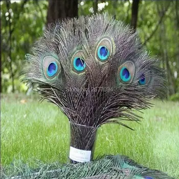 

200pcs/Lot 10-12'' Natural Peacock Feather 25-30cm Clothing Decoration Plumage Fashion Crafts Beautiful Decorative