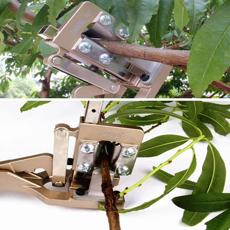Инструмент для прививки овощей фруктовых деревьев|tree grafting|tree grafting toolstree tools |