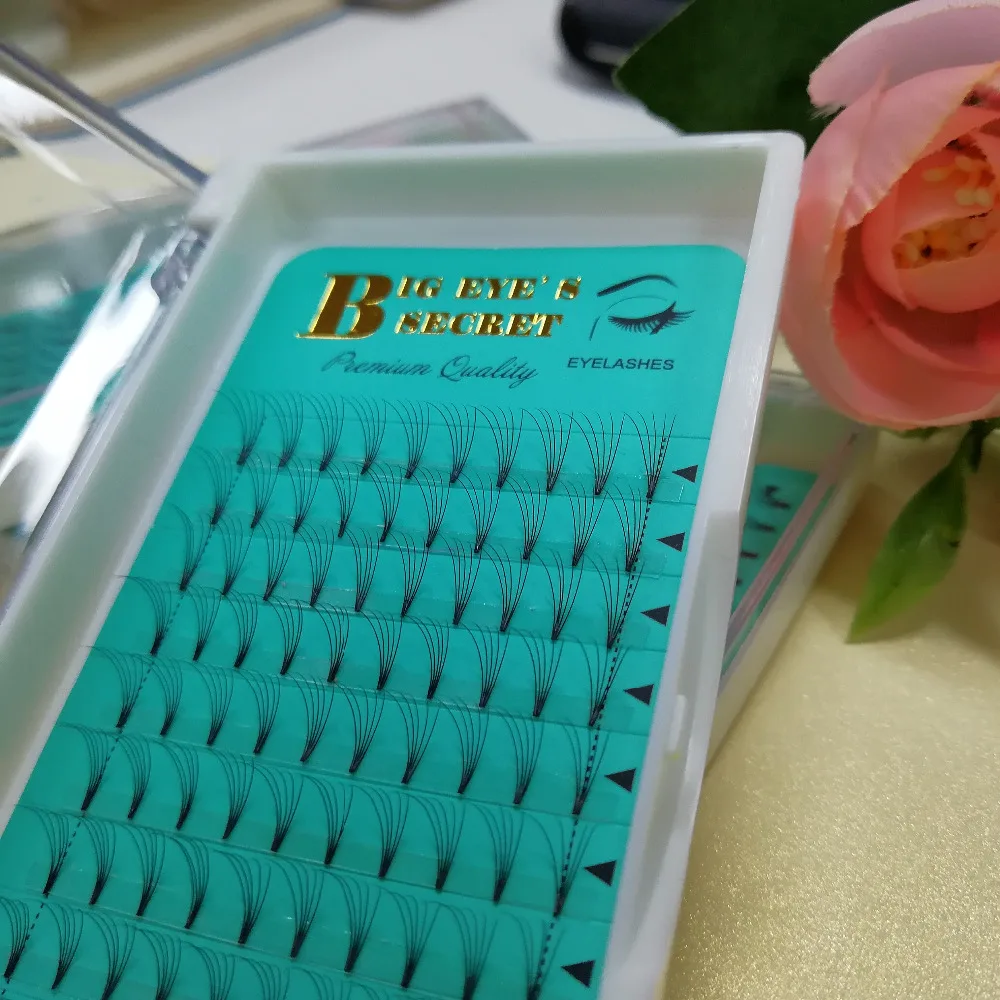 5d W Pre Made Fans Lash Volume False Eyelash Natural Black Individual