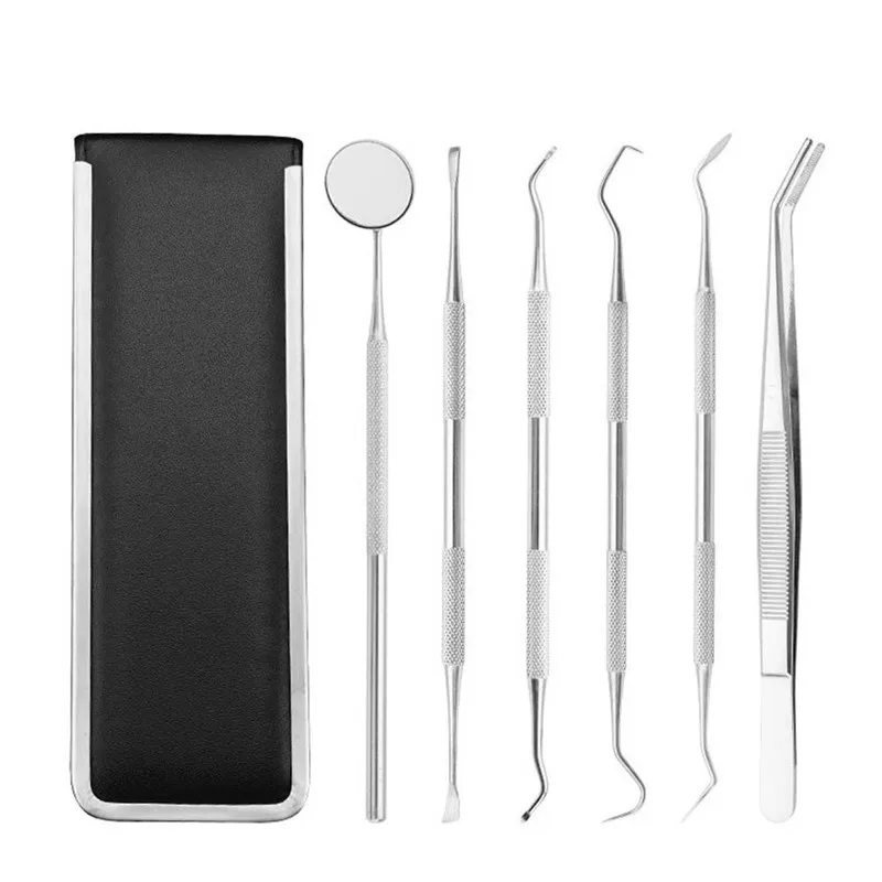 Denture Care 6pcs Stainless Dental Tool Set Kit For Home Teeth Clean