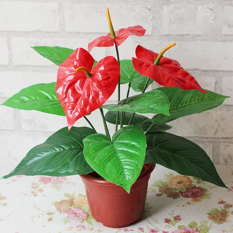 アンスリウム グリーン鉢植えアンスリウム花屋内緑の植物バルコニーオフィスデスクトップ造花盆栽ポットなしで Artificial Dried Flowers Aliexpress アンスリウム グリーン鉢植えアンスリウム花屋内緑の植物バルコニーオフィスデスクトップ造花盆栽ポットなしで Artificial Dried Flowers Aliexpress