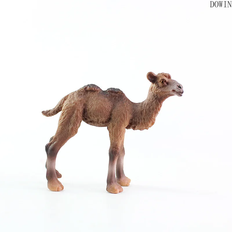 

Camel Figurine Kids Toy Model Simulation Wild Animal Realistic Desktop Ornaments Collection Decoration Craft Gift