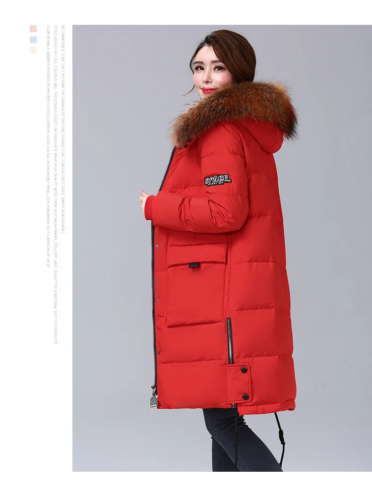  2019 Winter New Down Jacket Brand Women's Winter Jackets Big Fur Collar Ladies Down Jacket Thick Warm Winter Woman COats M-2XL  (26)