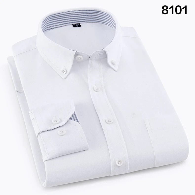 8101