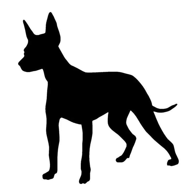 

11.9*12.7CM Xolo Dog Creative Cartoon Body Decoration Decal Cute Animal Car Cover Scratch Stickers C6-1602