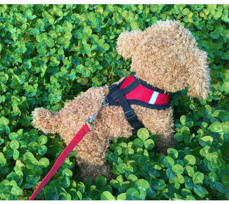 07f9f84fdb687bfa0f451abe28f62370_HTB15IYhLVzqK1RjSZFvq6AB7VXaW