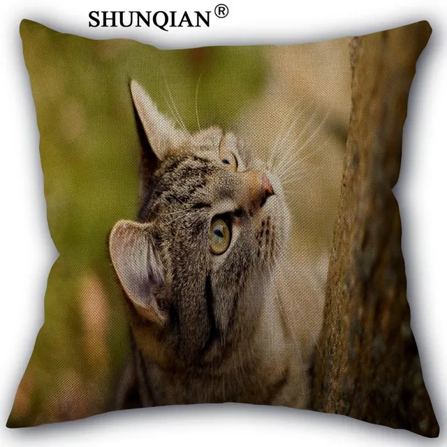 cat Pillowcase Custom Cotton Linen Square Decorative Pillow Cases Cover