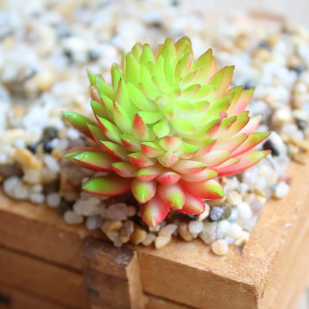 

1 Pcs Artificial Succulents Plant Fake Flower Home Decoration PVC Plant Garden Miniature Aloe Cactus DIY Home Floral Decoration