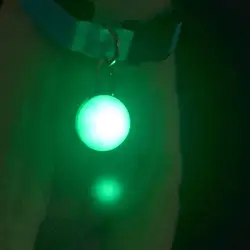 Pet светящийся ошейник светодиодный Яркий ночник безопасности вспышка для воротника, кнопочный переключатель мигающий питомец аксессуары