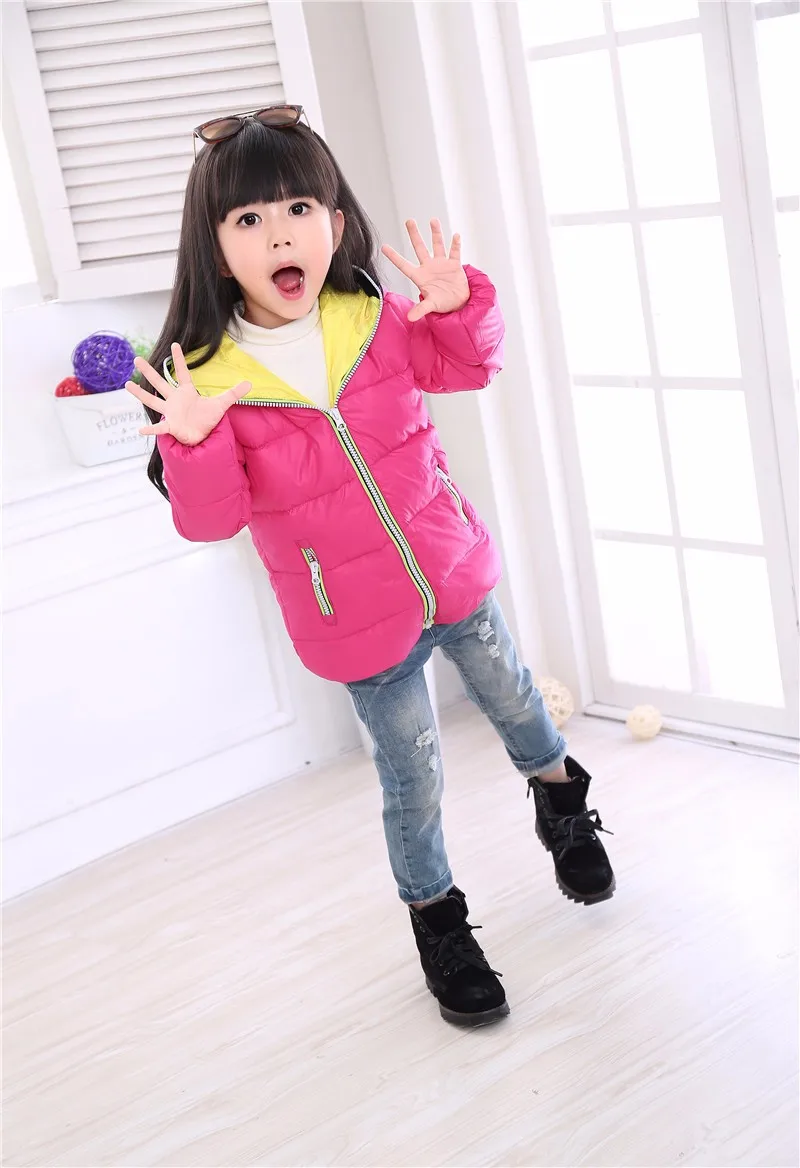 ZWP_9702_