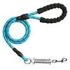Pet Products