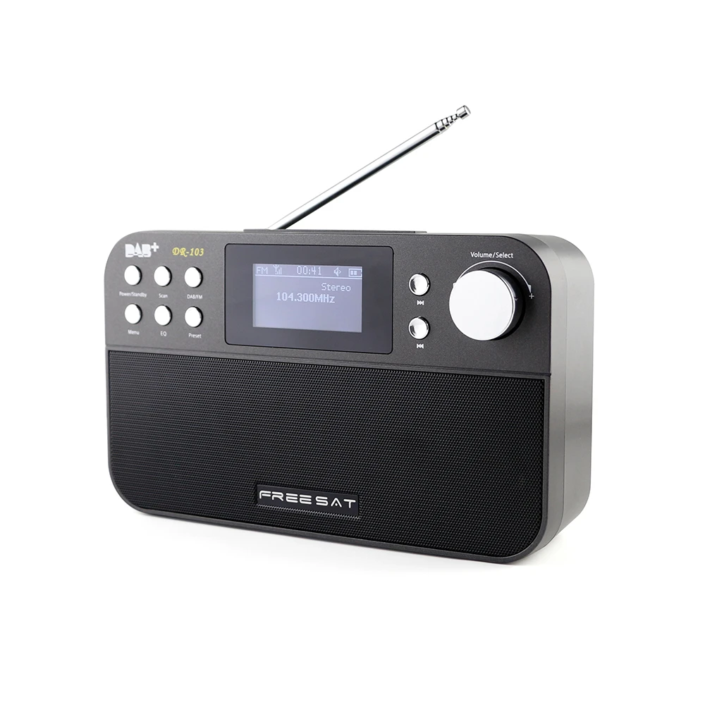 FREESAT DR-103B портативный цифровой DAB+ DAB FM радио DAB RDS диапазоны сигнала приемник BT 4,0 динамик стерео рецептор 2,4 дюймов дисплей