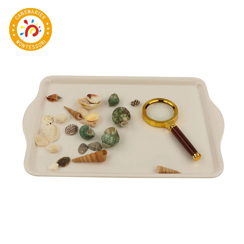  Montessori Material Explore Beech and Shells Daily Life Children Toy Teaching Aids Tray Magnifier - 4000026150558