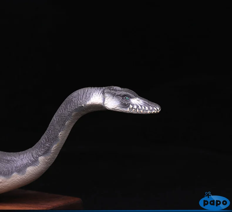Papo Plesiosaurus Имитация Динозавра модель коллекции музея Юрского периода мир древних