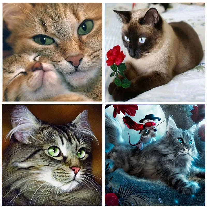 

Sale Lovely Cat Photo 5D Diamond Painting Full Round Drill 3D Embroidery DIY Kit Animal Home Decoration Mosaic Cross Stitch Gift