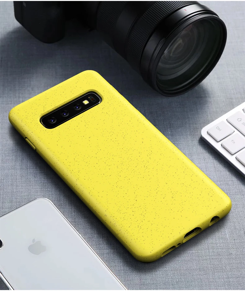 Samsung S10 Plus Case (12)
