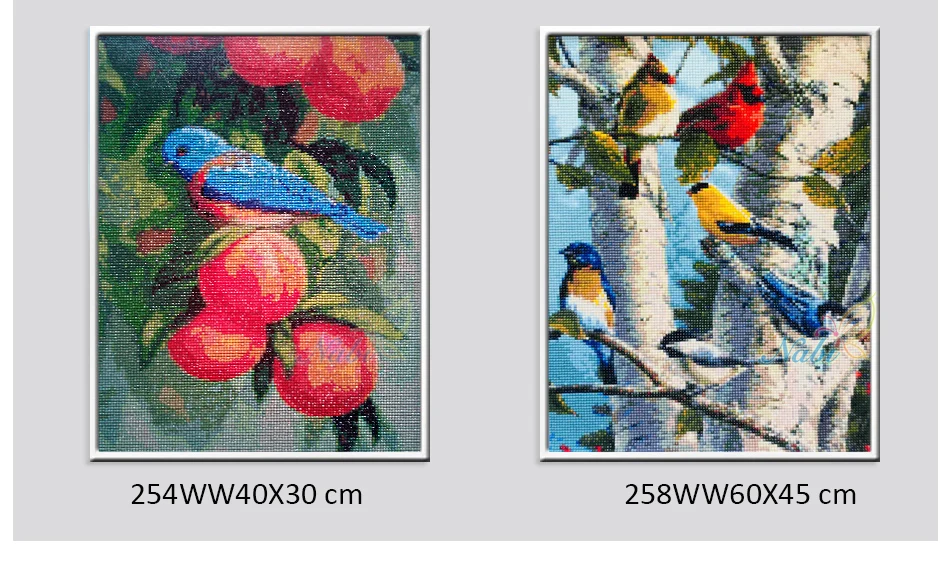 -245WW_04