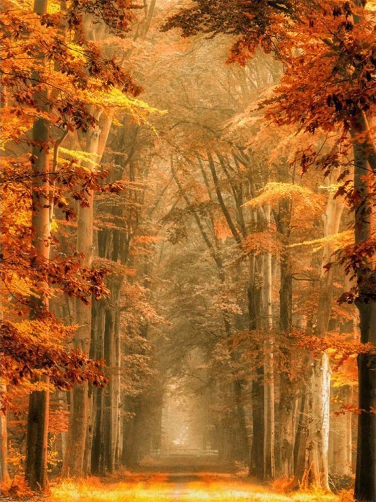 4 5D Diamond Embroidery Sale Landscape Pictures Of Rhinestones Diamond Painting Full Square Forest Cross Stitch Home Decor - Цвет: 4