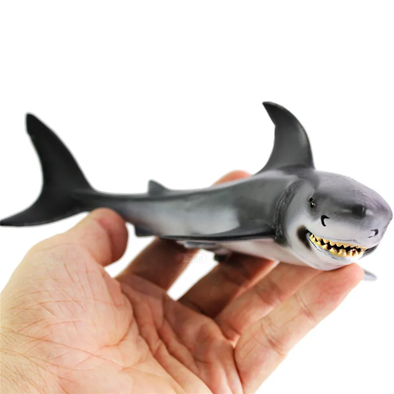shark & co toys