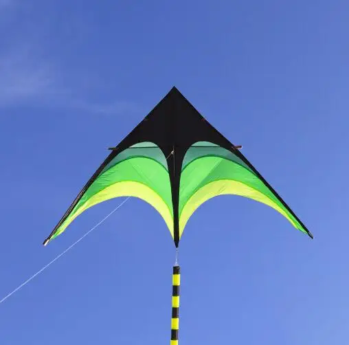 free shipping high quality large delta kites tails with handle outdoor toys for kids kites nylon ripstop albatross kite factory 1