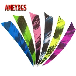 50pcs Archery 4inch Turkey Feathers Natural Arrow Feather Right Wing Fletches For Compound/Recurve Bow Shooting Accessories 50pcs Archery 4inch Turkey Feathers Natural Arrow Feather Right Wing Fletches For Compound/Recurve Bow Shooting Accessories