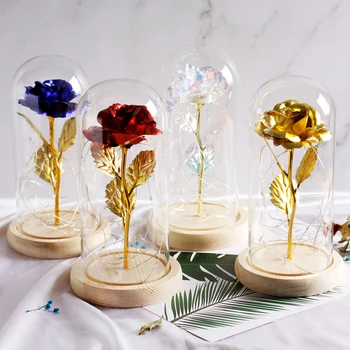 

Beauty and Beast Rose Flowers in Glass Dome with LED Light Wood Base Romantic Valentine's Day Birthday Gift