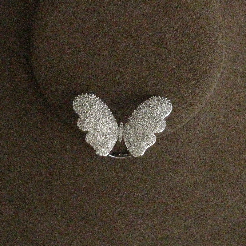 r1693 (2)_