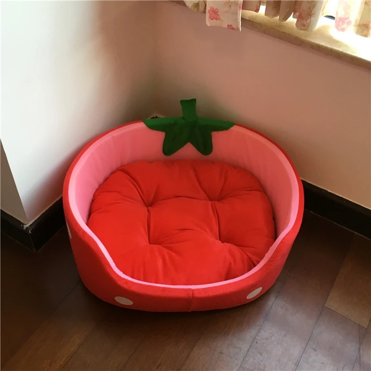 strawberry dog bed