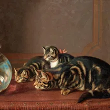 Краска по комплекты номеров для взрослых DIY 40165