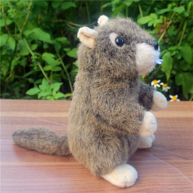 kawaii simulation animal groundhog plush doll mini soft quality groundhogs toy for baby gift 20cm DY50189 (5)