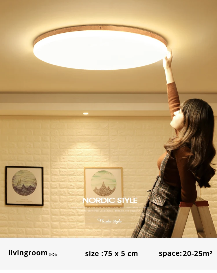 led ceiling light (5)