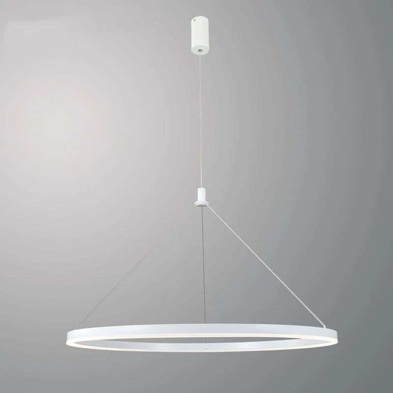 Circle Pendant lamp 02