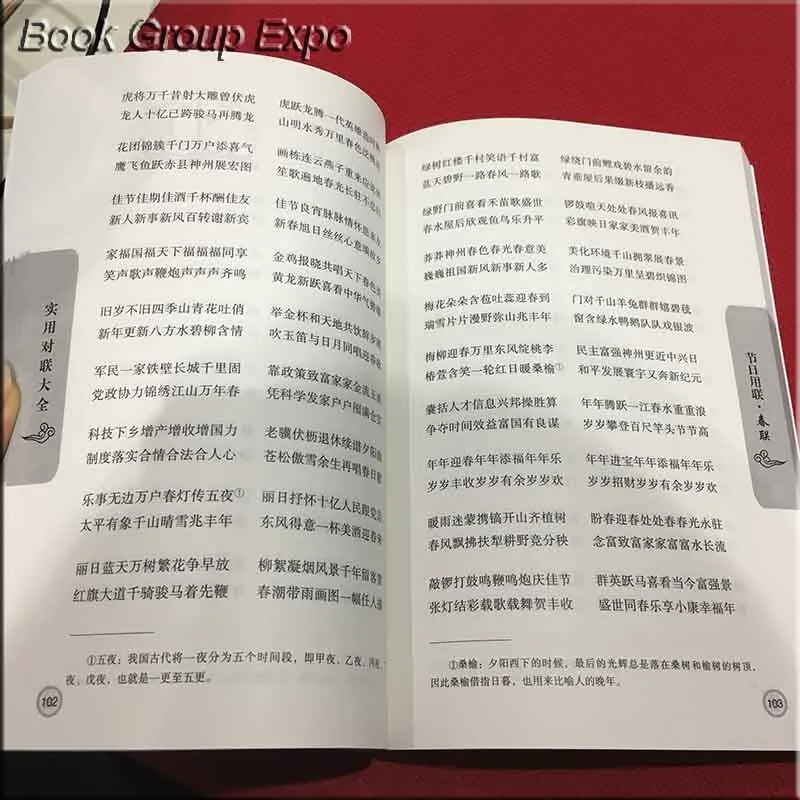 O1CN01NHyLh41reUdygDSYN_!!1698005656副本