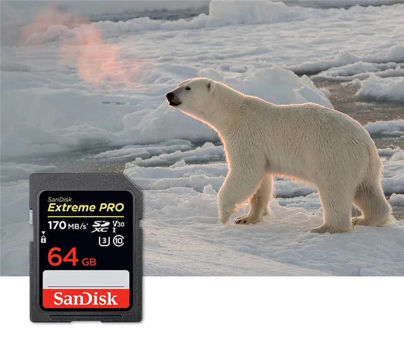 Двойной Флеш-накопитель SanDisk Extreme Pro карты памяти SDHC/SDXC карты SD 32 Гб 95 МБ/с. 64 Гб 128 256 170 МБ/с. C10 U3 V30 UHS-I флеш-карта для Камера